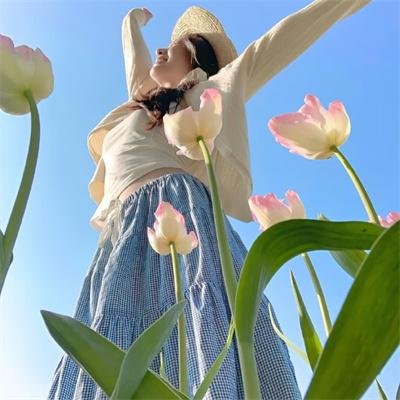 美国豚鼠2:血腥冲击 海报